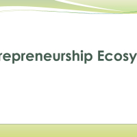 Entrepreneurship Ecosystem 