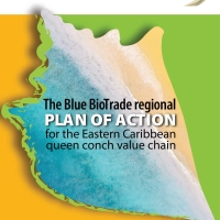 The Blue BioTrade regional Plan of Action for the Eastern Caribbean queen conch value chain